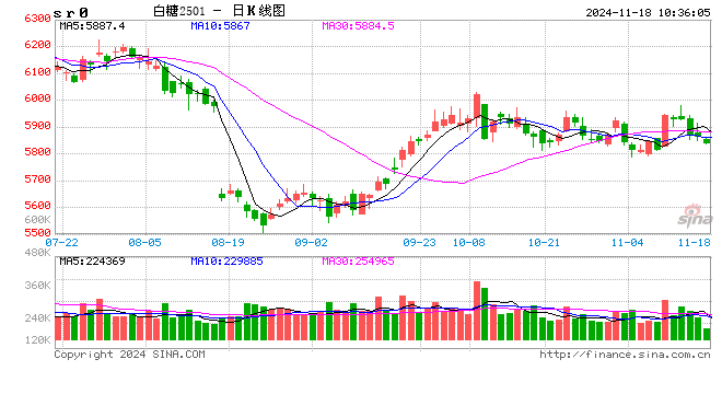 光大期货：11月18日软商品日报